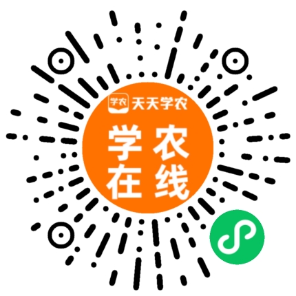 小法式